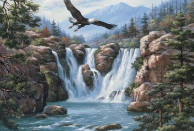 Soaring Eagle 